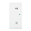 Busch-Jaeger 6237-21-914 Wippe 2-fach links, mit Symbol...