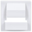 Busch-Jaeger 6477-84 Zentralscheibe für...