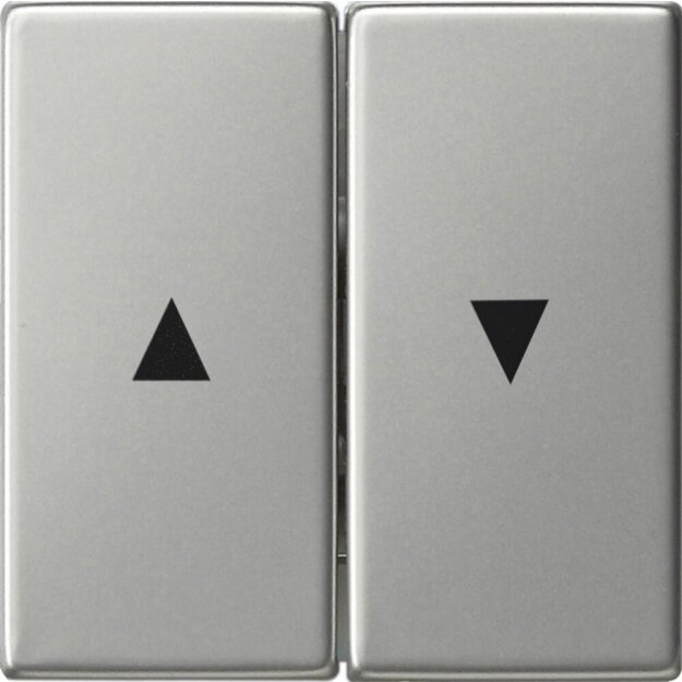 Gira 0294600 Wippe 2-fach Pfeilsymbol System 55 Edelstahl