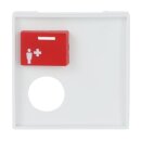 Busch-Jaeger 2548-071 E-84 Zentralscheibe...