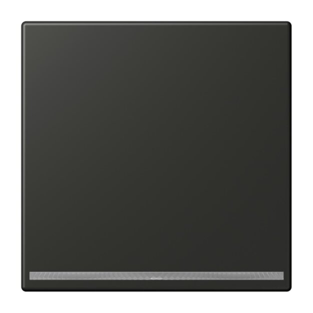 Jung AL1539-OOANLNW LED-Orientierungslicht ohne Sensor (lackiertes Aluminium) Anthrazit Serie LS