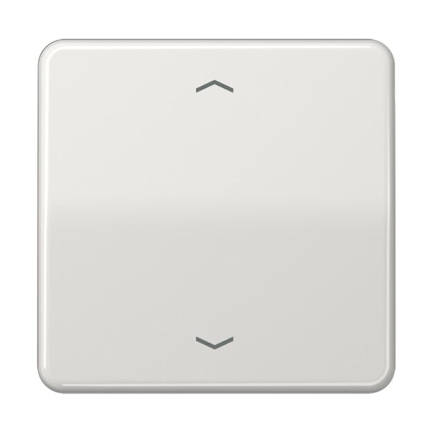 Jung CD1700PLG Steuertaste Standard - Pfeile (Duroplast) Lichtgrau Serie CD
