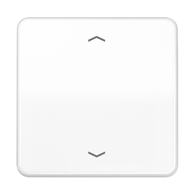 Jung CD1700PWW Steuertaste Standard - Pfeile (Duroplast) Alpinweiß Serie CD