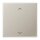 Jung ES1700P Steuertaste Standard - Pfeile Edelstahl