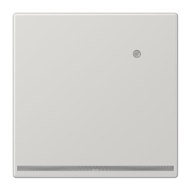 Jung LS1539-OLGLNW LED-Orientierungslicht mit Sensor Lichtgrau Serie LS