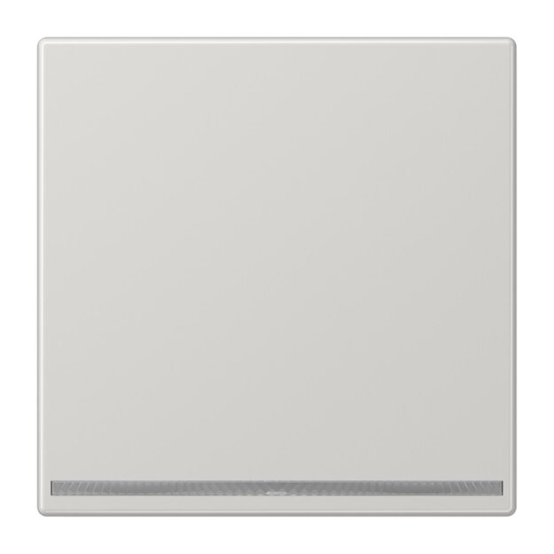 Jung LS1539-OOLGLNW LED-Orientierungslicht ohne Sensor Lichtgrau Serie LS