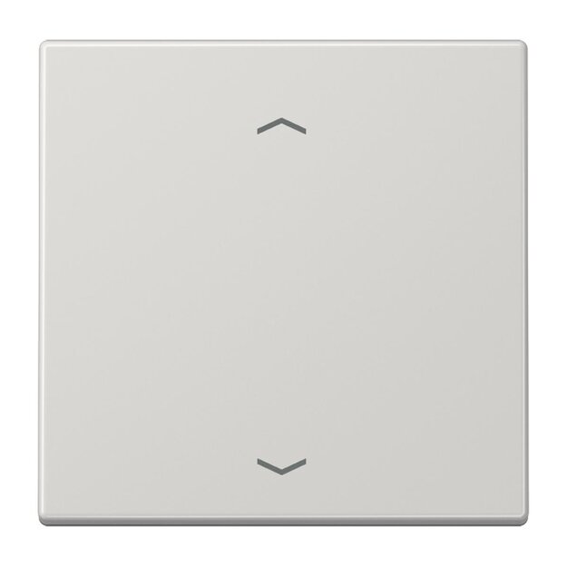 Jung LS1700PLG Steuertaste Standard - Pfeile Lichtgrau Serie LS