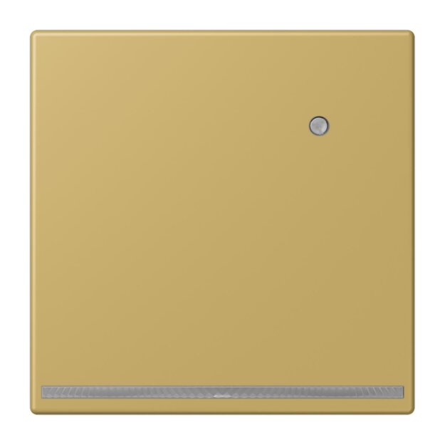Jung ME1539-OCLNW LED-Orientierungslicht mit Sensor (Messing) Messing Serie LS