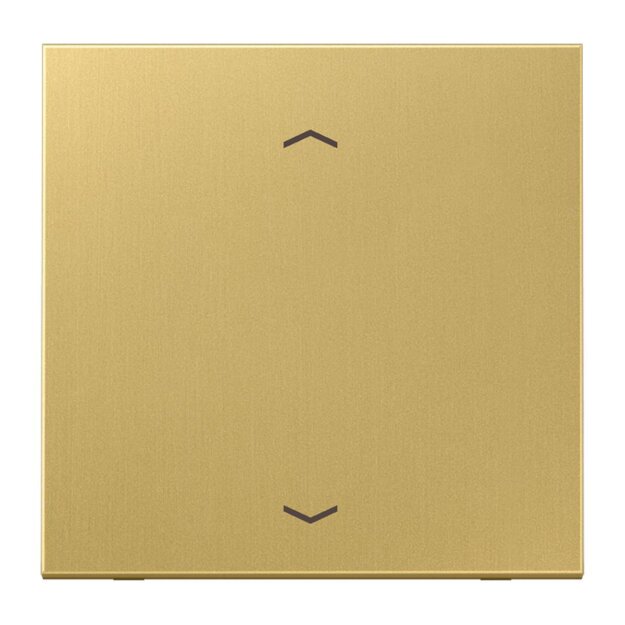 Jung ME1700PC Steuertaste Standard - Pfeile (Messing) Messing Serie LS