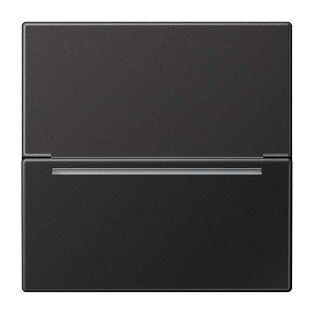 Jung ALCARDRFIDAN Hotelcard-Schalter RFID (lackiertes Aluminium) Anthrazit Serie LS