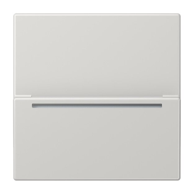 Jung LSCARDRFIDLG Hotelcard-Schalter RFID Lichtgrau Serie LS