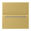 Jung MECARDRFIDC Hotelcard-Schalter RFID (Messing)...