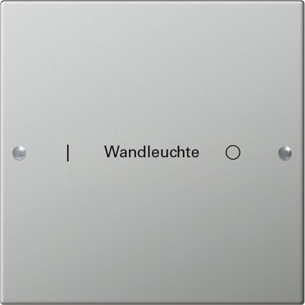 Gira 2131602 Wippenset 1-fach beschreibbar System 55 Edelstahl