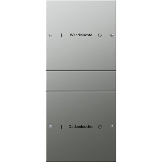 Gira 2132602 Wippenset 2-fach (1+1) beschreibbar System 55 Edelstahl