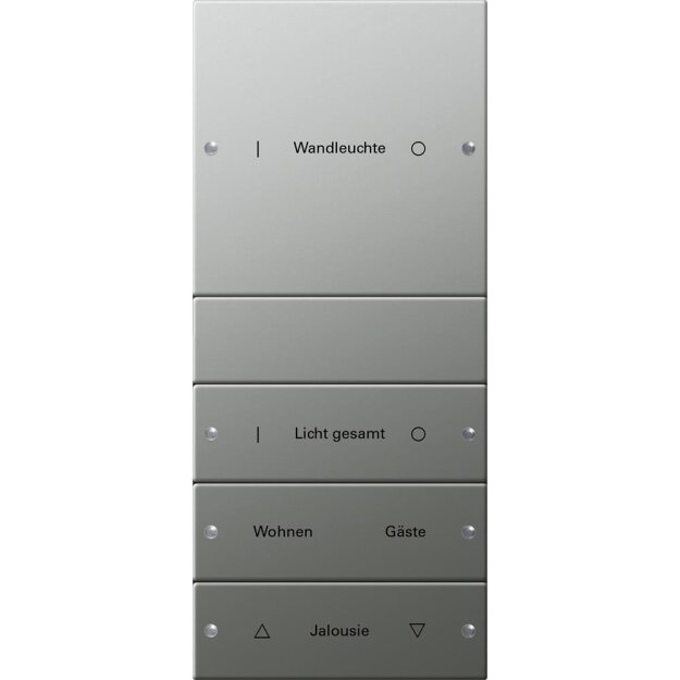 Gira 2134602 Wippenset 4-fach (1+3) beschreibbar System 55 Edelstahl