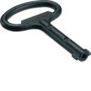 Hager MES-SDB3 Schlüssel zu Dorn Doppelbart 3mm