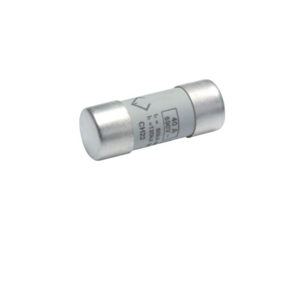 Hager LF540G Sicherung 22x58mm gG 40A
