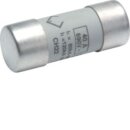 Hager LF540G Sicherung 22x58mm gG 40A