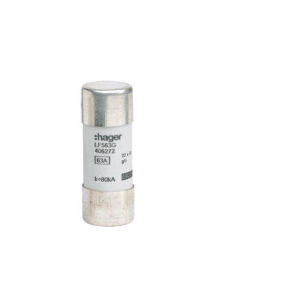 Hager LF563G Sicherung 22x58mm gG 63A