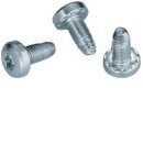 Hager FZ413XE Gewindeformschraube M6x13 50 Stück