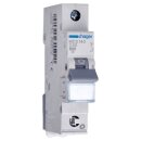 Hager MCS140 LS-Schalter 1-polig 6kA C-40A 1M QC