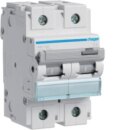 Hager HMC290 LS-Schalter 2-polig 15kA C-100A 3M