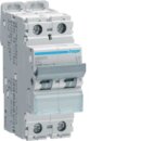 Hager NBN250 LS-Schalter 2-polig 10kA B-50A 2M