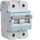 Hager HMD299 LS-Schalter 2-polig 15kA D-125A 3M