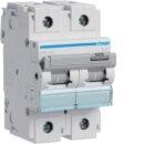 Hager HMD290 LS-Schalter 2-polig 15kA D-100A 3M