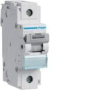 Hager HMD180 LS-Schalter 1-polig 15kA D-80A 1.5M