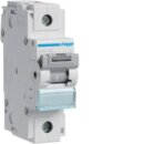 Hager HMD190 LS-Schalter 1-polig 15kA D-100A 1.5M