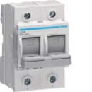 Hager L72M Lasttrennschalter D02 2-polig 63A