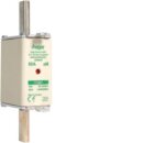 Hager LNH0080M6A NH-Sicherung NH0 aM 690V 80A K-Melder