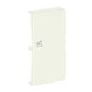 Busch-Jaeger 6233-22-82 Wippe 2-fach rechts, mit Symbol "Szene" 2CKA006220A0408