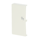 Busch-Jaeger 6234-21-82 Wippe 2-fach links, mit Symbol...