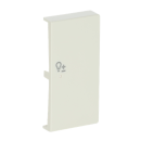 Busch-Jaeger 6234-22-82 Wippe 2-fach rechts, mit Symbol "Dimmer" 2CKA006220A0406
