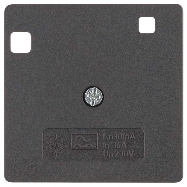 Berker 14961606 Zentralstück für FI-Schutzschalter System 50x50 mm Anthrazit matt