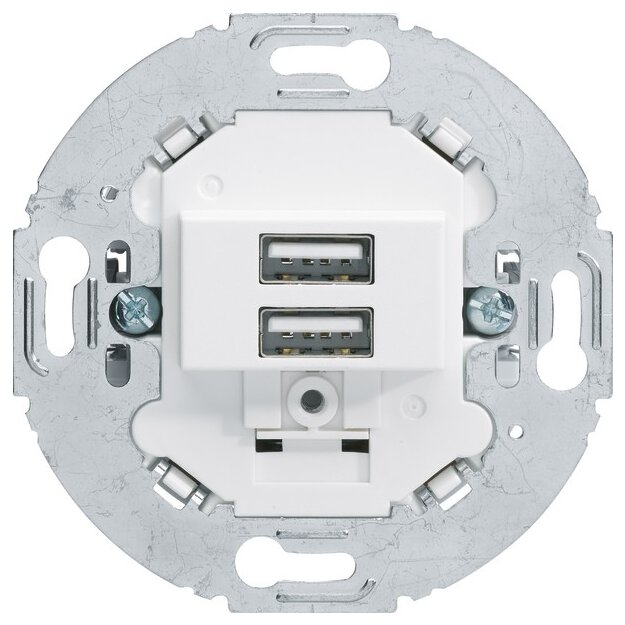 Berker 260219 USB Ladesteckdose 230V 2-fach 3.0A runder Tragring Polarweiß matt