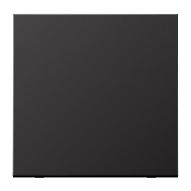 Jung AL1700D Steuertaste Standard (lackiertes Aluminium) Dark Serie LS