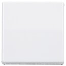 Jung AS1700WW Steuertaste Standard (Duroplast)...