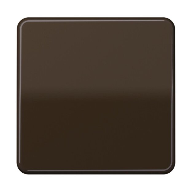 Jung CD1700BR Steuertaste Standard (Duroplast) Braun Serie CD