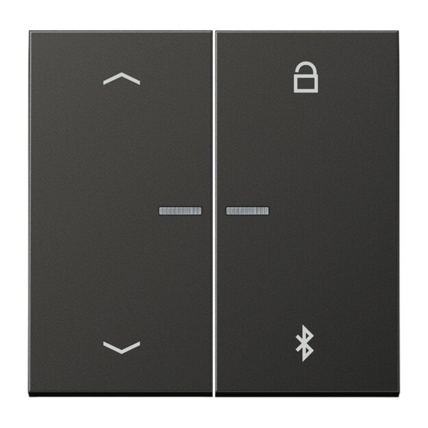 Jung AL1751PBTAN Timer Universal Bluetooth - Pfeile (lackiertes Aluminium) Anthrazit Serie LS