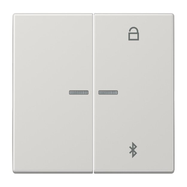 Jung LS1751BTLG Timer Universal Bluetooth Lichtgrau Serie LS
