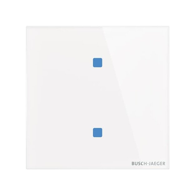 Busch-Jaeger TB/U2.4.11-CG Touch-Bedienelement, 2-fach Standard Gerät 2CKA006300A1559