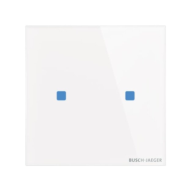 Busch-Jaeger TB/U2.5.11-CG Touch-Bedienelement, 2-fach Standard Gerät 2CKA006300A1560