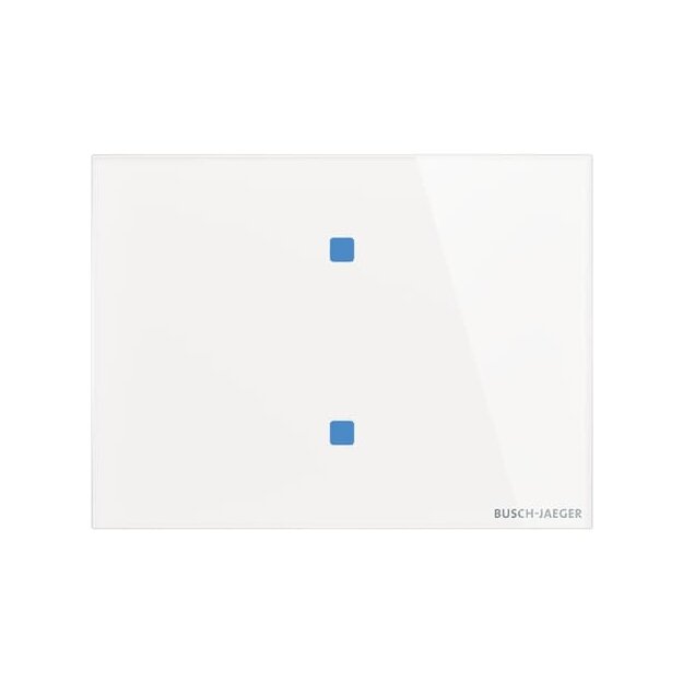 Busch-Jaeger TB/U2.8.11-CG Touch-Bedienelement, 2-fach Standard Gerät 2CKA006300A1615