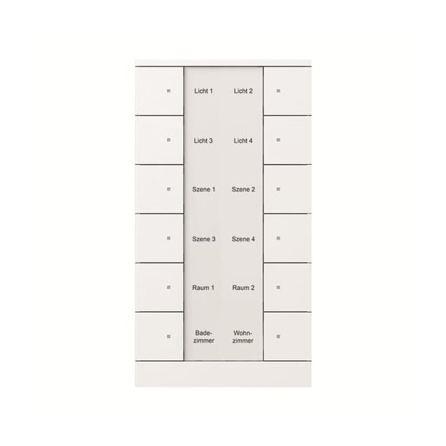 Busch-Jaeger SB/U12.0.11-84 Bedienelement 12-fach Busch-Tenton® 2CKA006330A0015