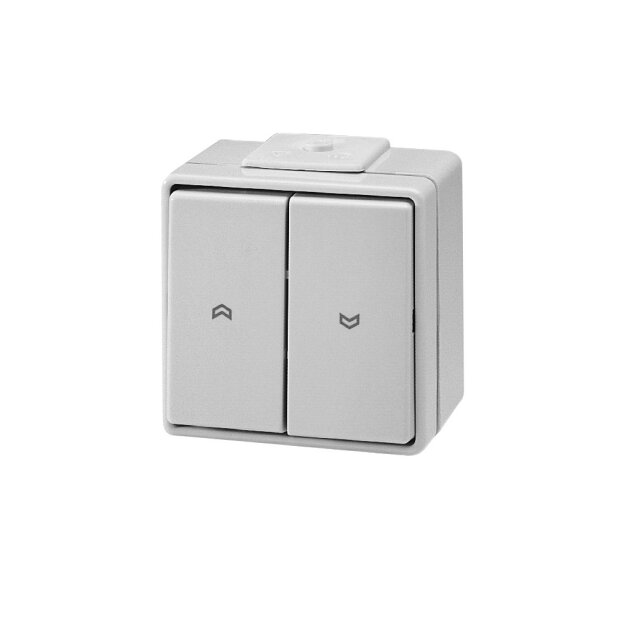 Somfy Wippschalter aws 1800008 (1er)