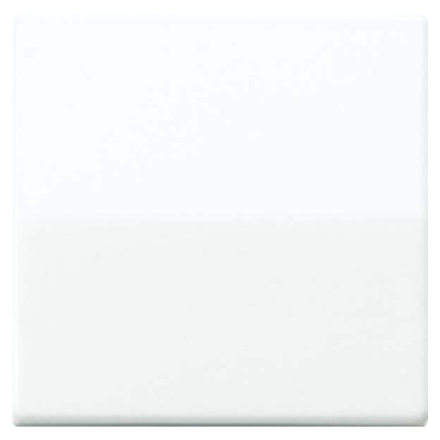 Jung AS1561.07F Kurzhubtaste m. Funkempfaenger (Duroplast) Weiß Serie AS