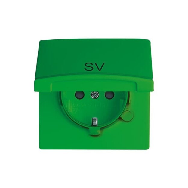 Busch-Jaeger 20 EUGKB-13-102 SCHUKO® Steckdosen-Einsatz mit Klappdeckel und Aufdruck 2CKA002064A0311